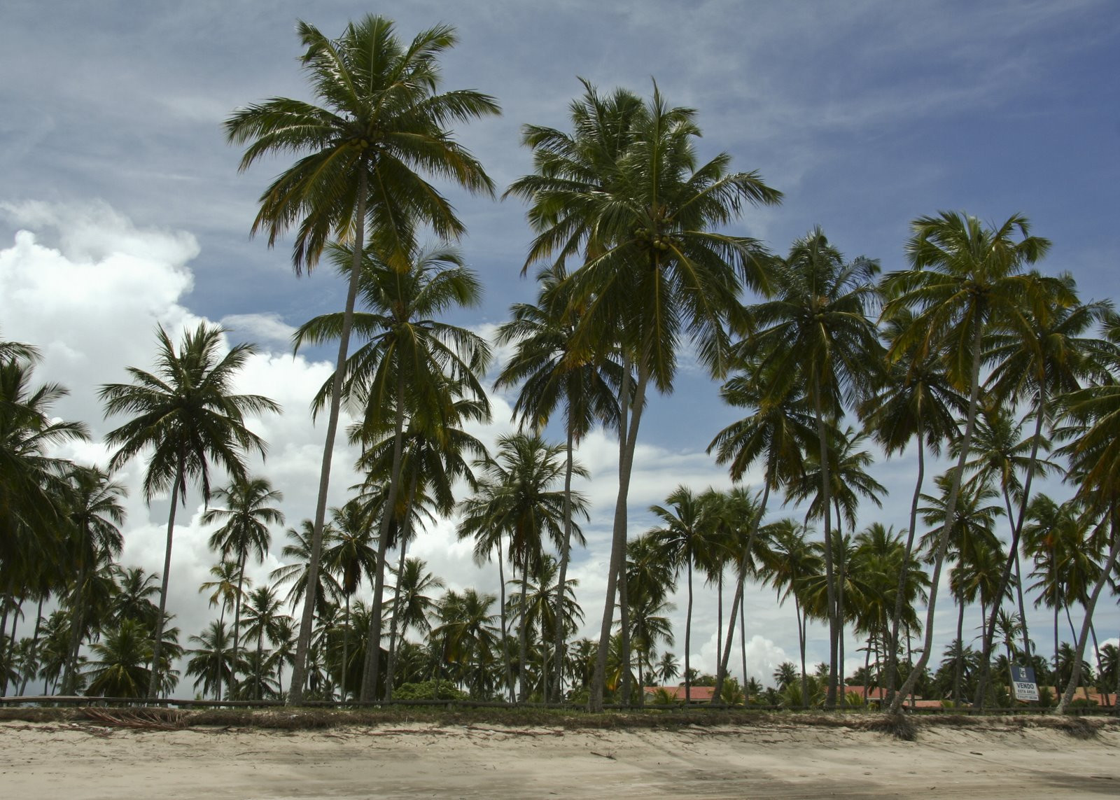 Порту-де-Галиньяс, Бразилия, фото № 59933 – фотографии Бразилии