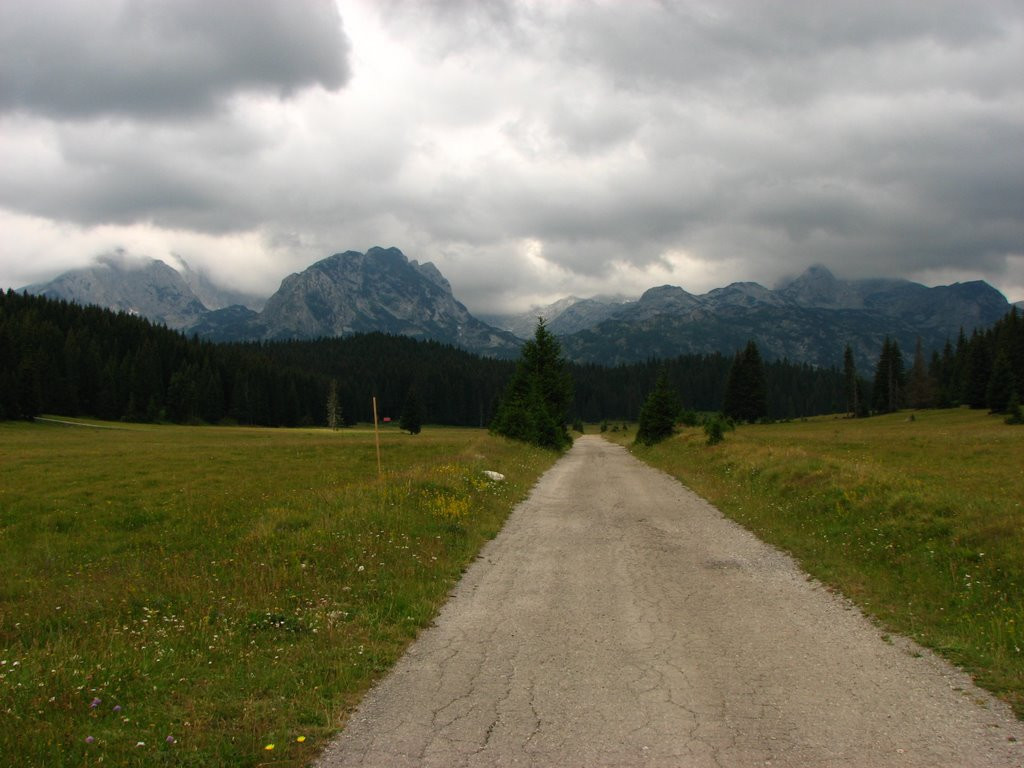 Природа Национального парка, Черногория – фотографии Черногории