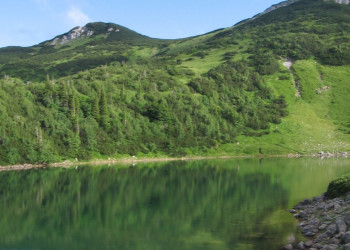 Озеро Национального парка, Черногория. Фото 9 – фотографии Черногории