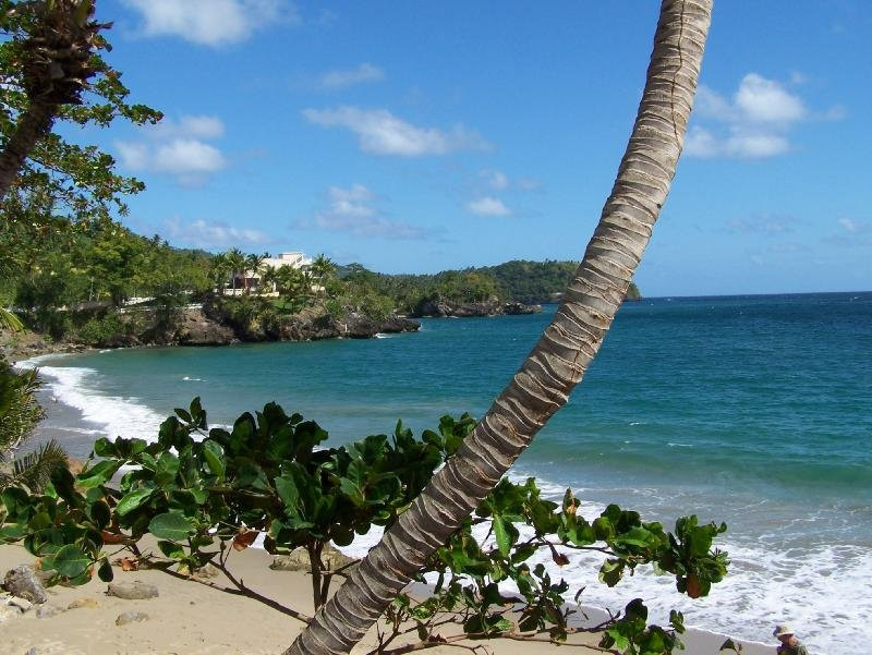 Самана, Доминикана, фото № 30650 – фотографии Доминиканы
