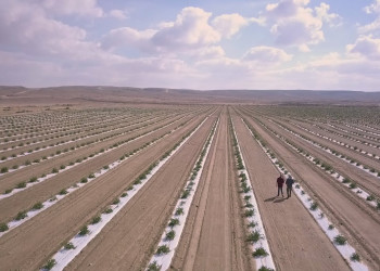 Сельское хозяйство в пустыне Негев, Израиль – фотографии Израиля