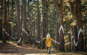 Каждый посетитель Живого леса Ома может двигать полотно леса, играя с перспективой во время ходьбы – фотографии Испании
