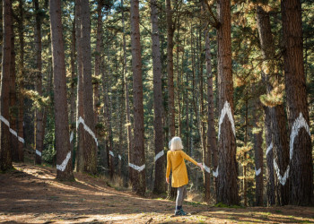 Каждый посетитель Живого леса Ома может двигать полотно леса, играя с перспективой во время ходьбы – фотографии Испании