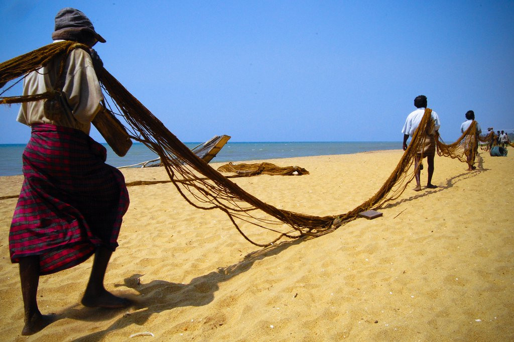 Ваддува, Шри-Ланка, фото № 50817 – фотографии Шри-Ланки