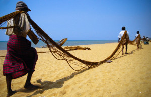 Ваддува, Шри-Ланка, фото № 50817 – фотографии Шри-Ланки