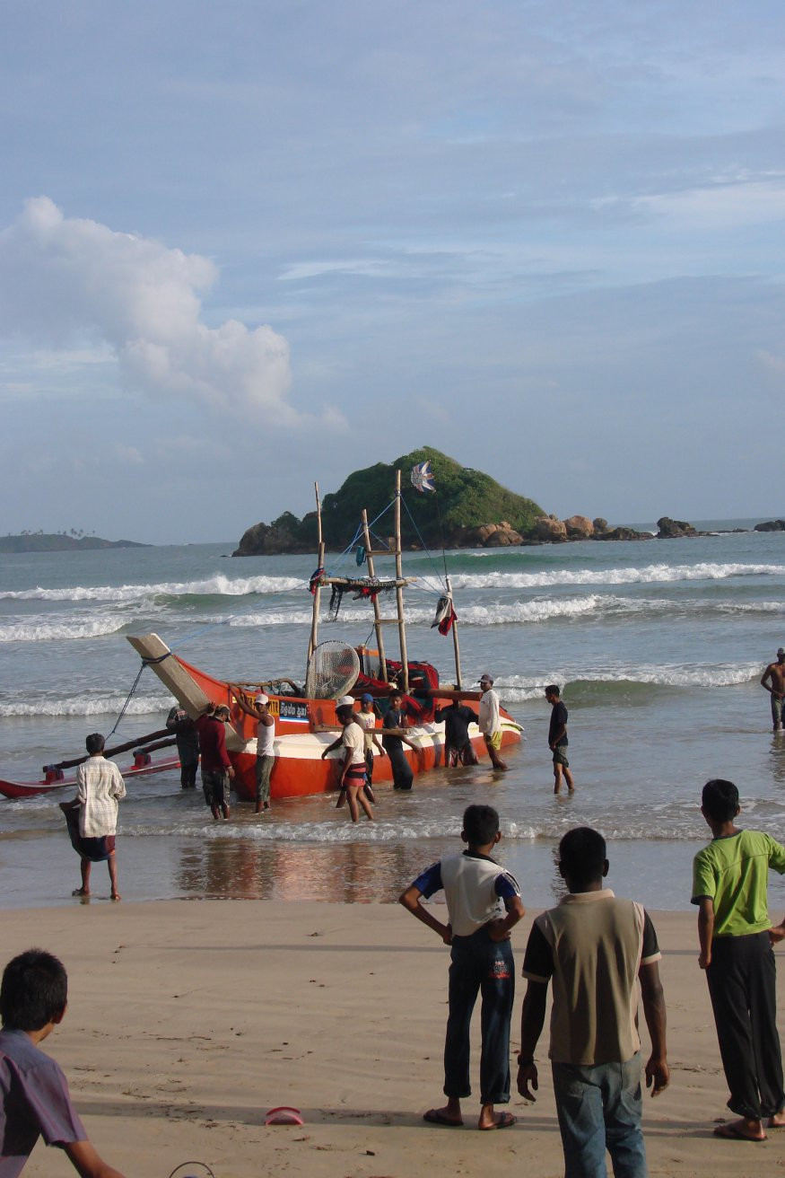 Велигама, Шри-Ланка, фото № 50822 – фотографии Шри-Ланки