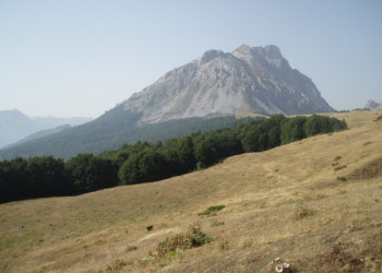 Национальный парк, Черногория. Фото 24 – фотографии Черногории