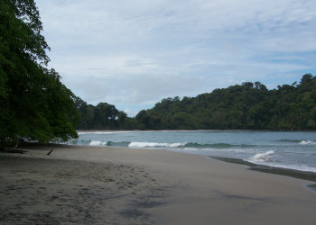 Мануэль Антонио Национальный Парк, Пунтаренас провинция, Коста-Рика, фото № 40693 – фотографии Коста-Рики