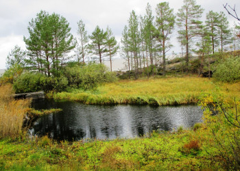 Река на острове Кий, Россия. Фото 8 – фотографии России