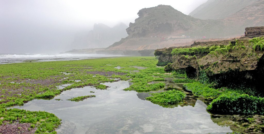 Оман, фото № 5218 – фотографии Омана