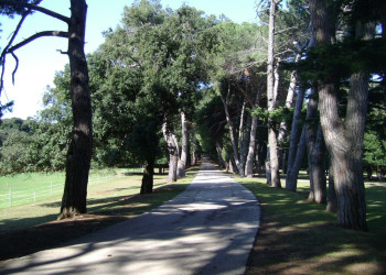 Аллея Национального парка, Хорватия – фотографии Хорватии