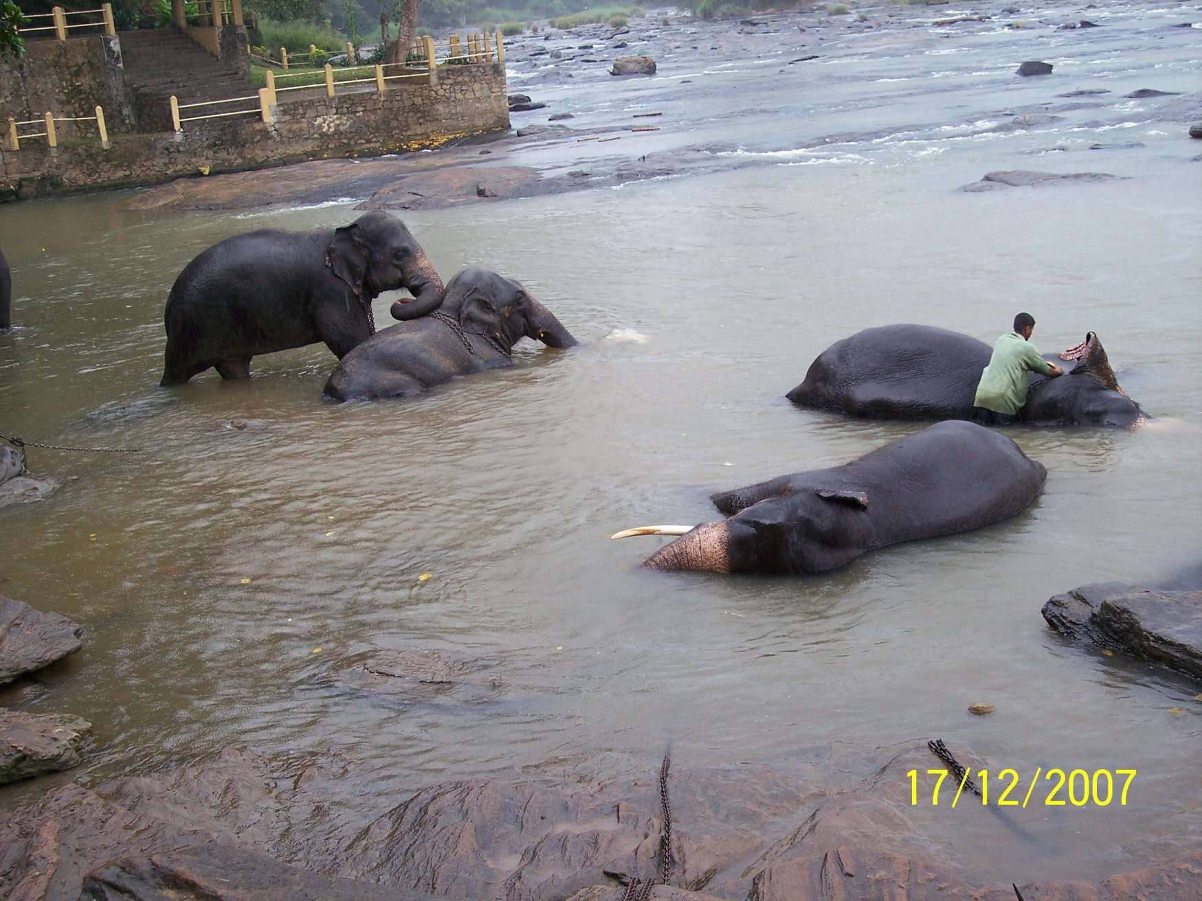 Шри-Ланка, фото № 1185 – фотографии Шри-Ланки