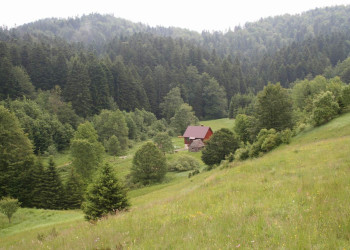 Национальный парк, Хорватия. Фото 11 – фотографии Хорватии