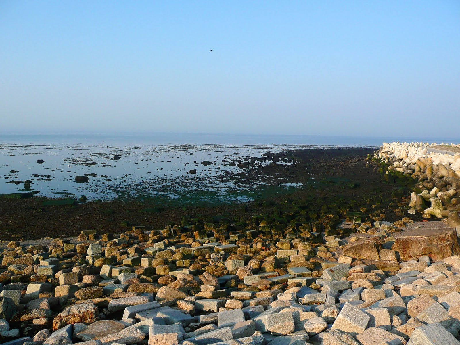 Гельголанд острова, Северная Германия, Германия, фото № 73813 – фотографии Германии