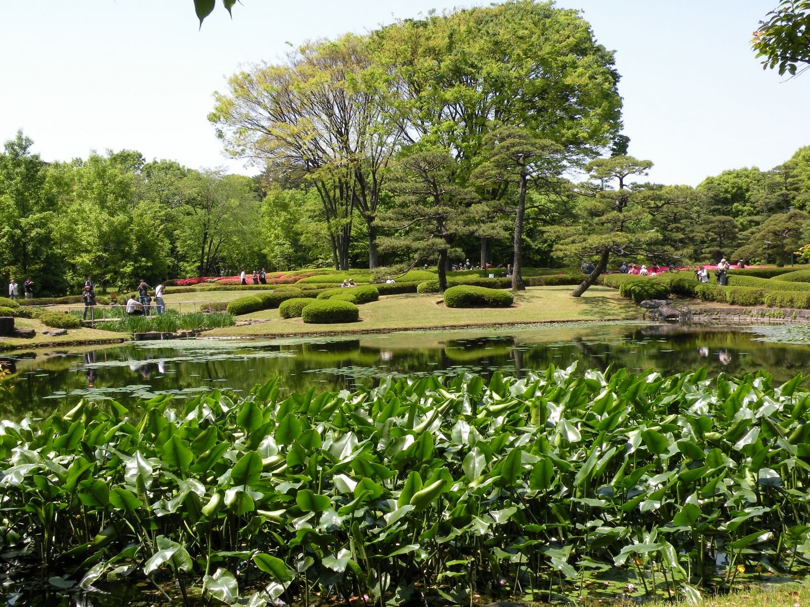 Tokyo – фотографии Японии