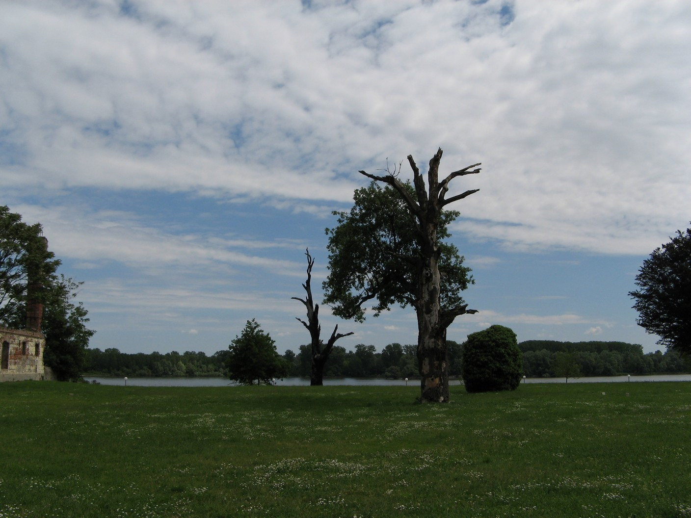 Луга в Словонии, Хорватия – фотографии Хорватии