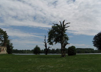 Луга в Словонии, Хорватия – фотографии Хорватии