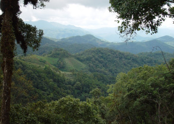 Природа в Мэ-Хонг-Сон, Тайланд. Фото 6 – фотографии Таиланда