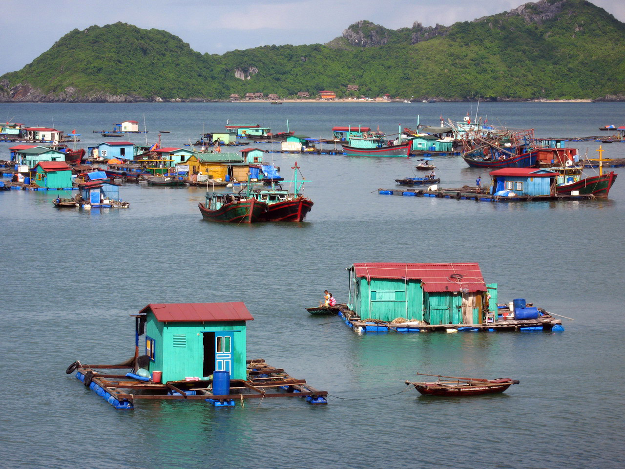 Остров Катба (Cát Bà) в заливе Халонг – фотографии Вьетнама