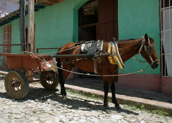 Транспорт в Тринидаде, Куба – фотографии Кубы