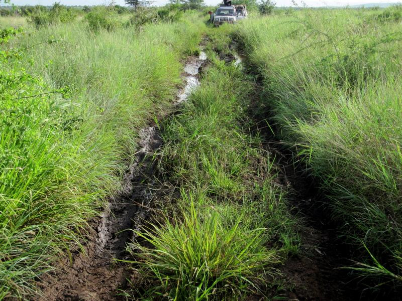 Национальный парк Омо в Эфиопии. Фото 2 – фотографии Эфиопии
