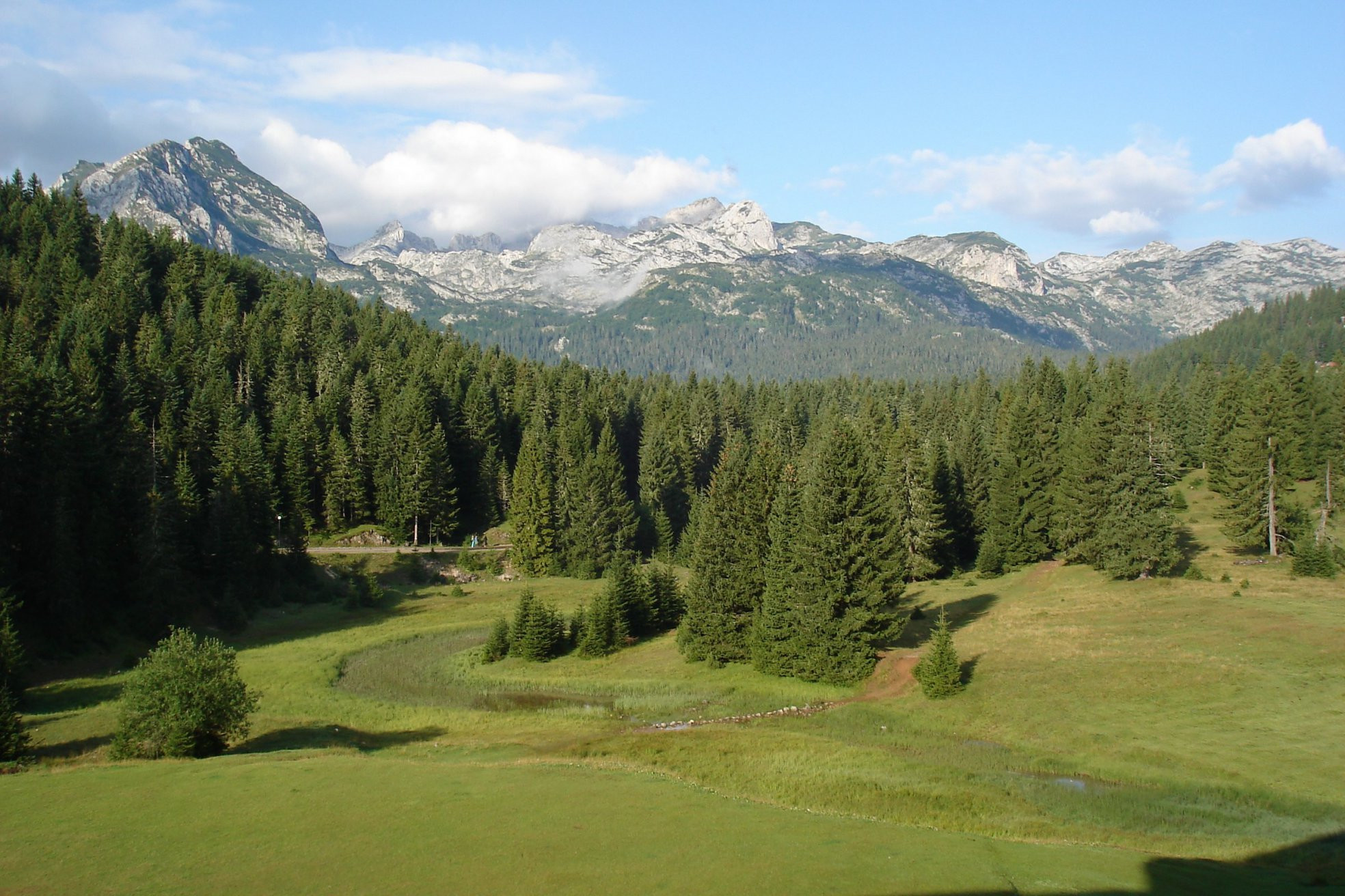 Природа в Дурмитор, Черногория. Фото 35 – фотографии Черногории