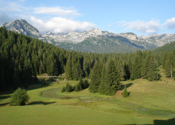 Природа в Дурмитор, Черногория. Фото 35 – фотографии Черногории