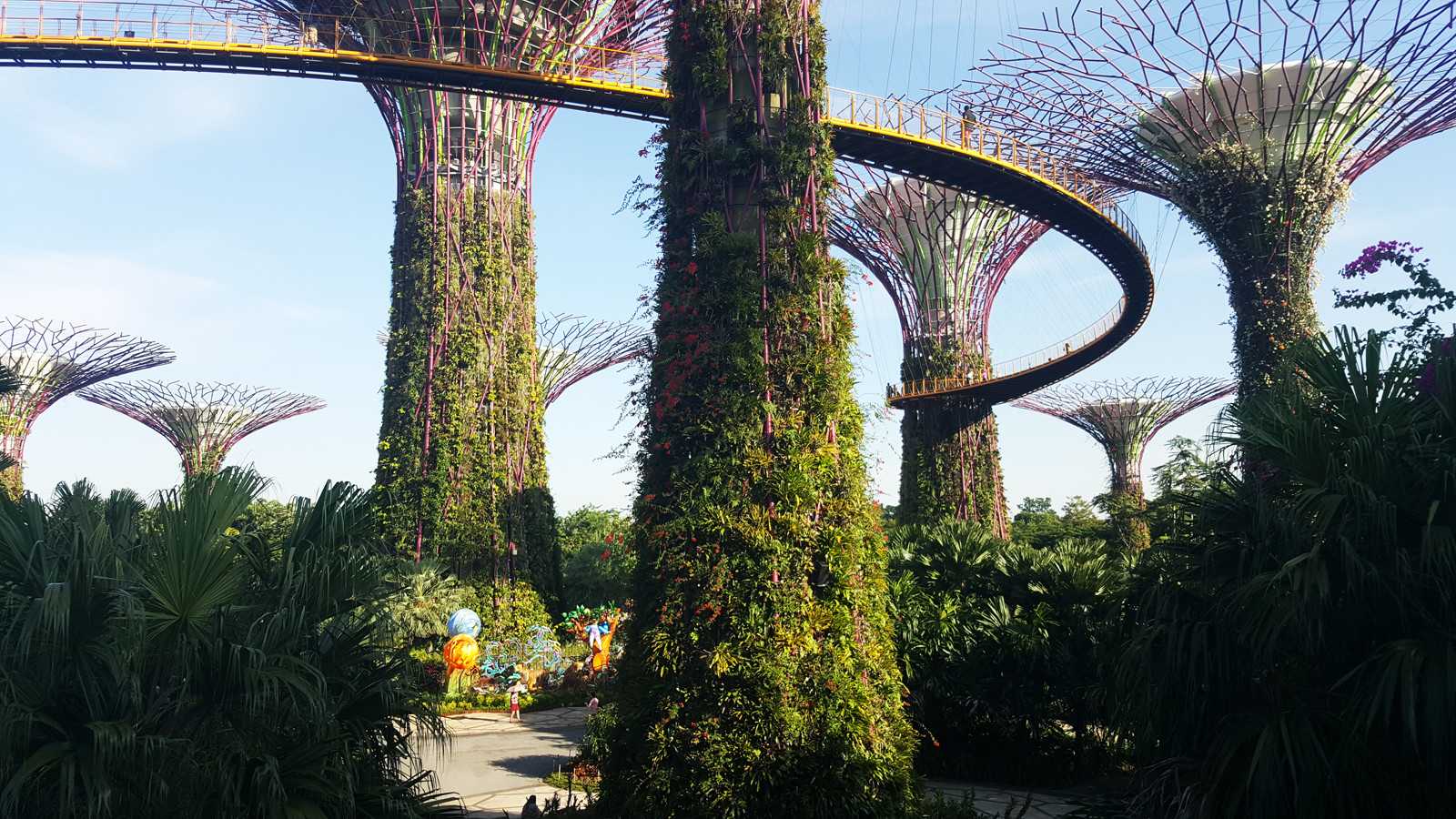 Парк Gardens by the Bay в районе Marina Sands Bay – фотографии Сингапура