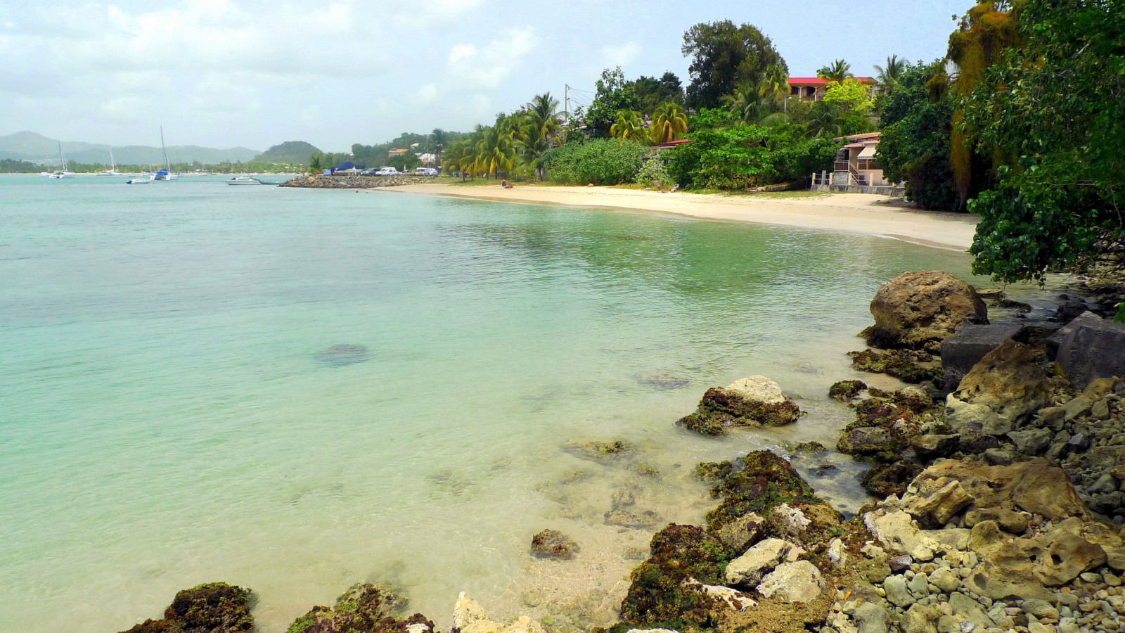 Окрестности Сент-Ан. Юг Мартиники. Фото 4 – фотографии Мартиники