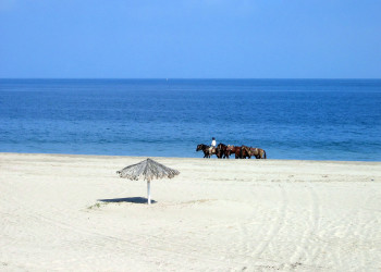 Пляж Пунта-Саль – фотографии Перу