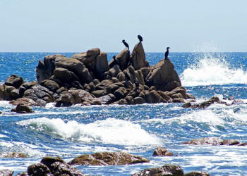 Скала в Лазовском заповеднике, Россия. Фото 4 – фотографии России