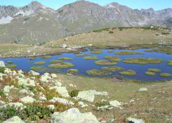 Гудаутский район. Урочище Агура, Абхазия. Фото 1 – фотографии Абхазии