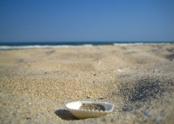 Албена, Болгария, фото № 26415 – фотографии Болгарии