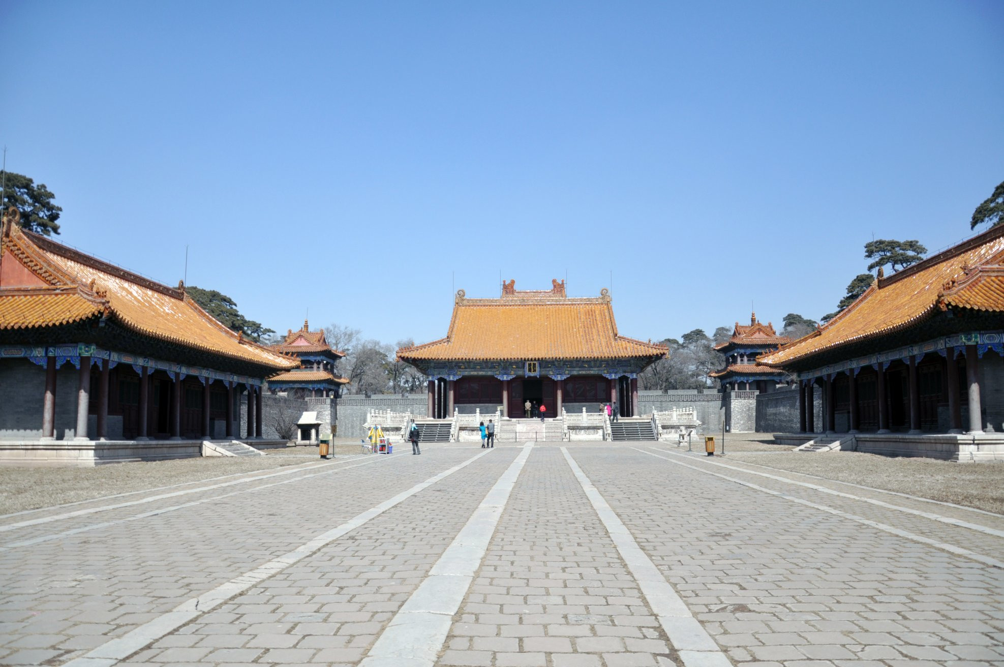 Дунлин – фотографии Китая