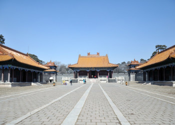 Дунлин – фотографии Китая