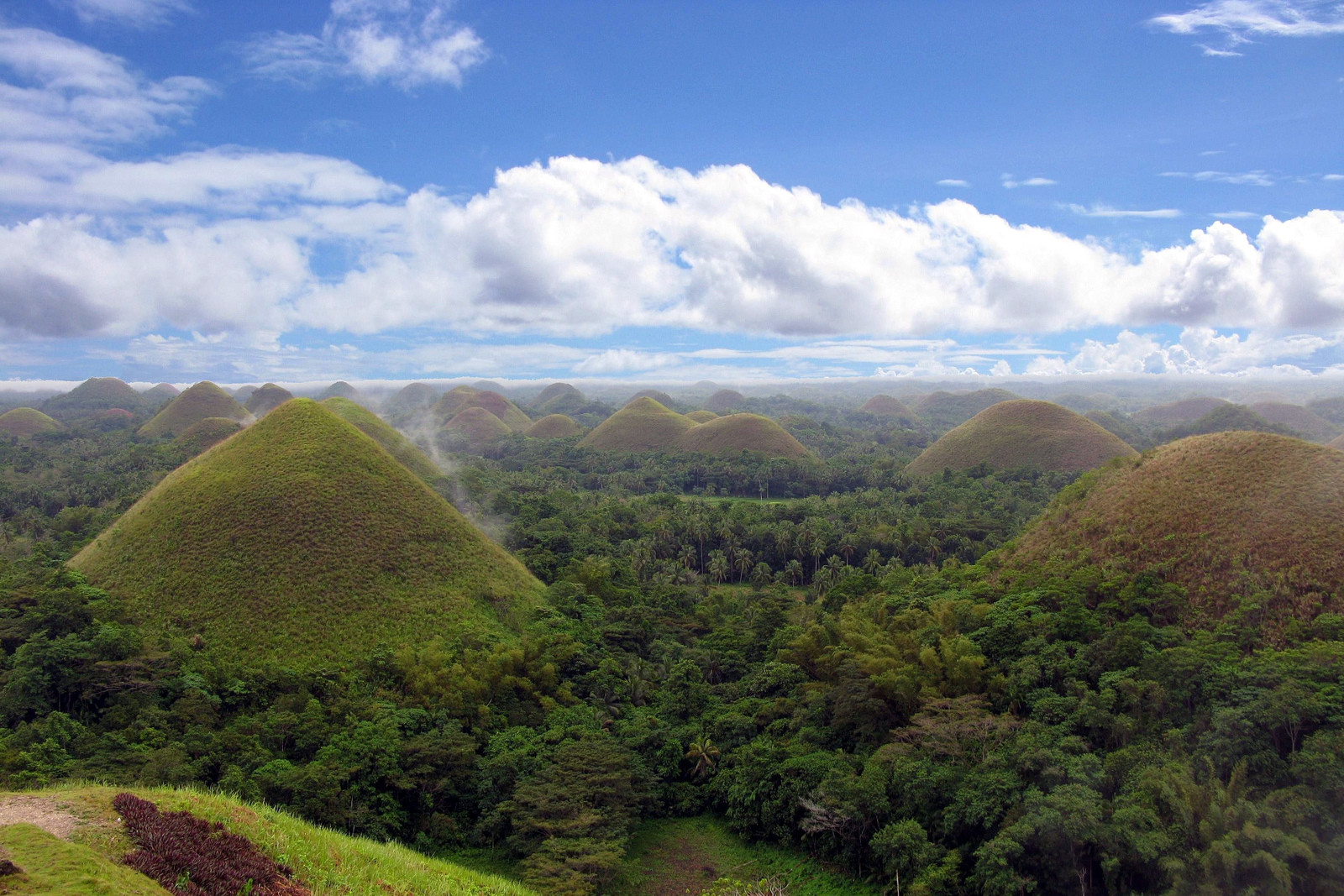 Шоколадные холмы на Филиппинах. Фото 4 – фотографии Филиппин