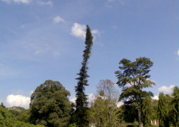 Канди, Шри-Ланка, фото № 51358 – фотографии Шри-Ланки