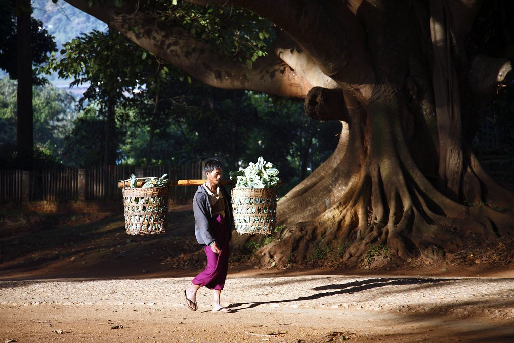 Мужчина в Пиндайя, Мьянма – фотографии Мьянмы