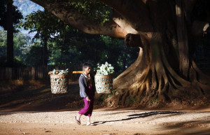 Мужчина в Пиндайя, Мьянма – фотографии Мьянмы