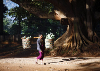 Мужчина в Пиндайя, Мьянма – фотографии Мьянмы