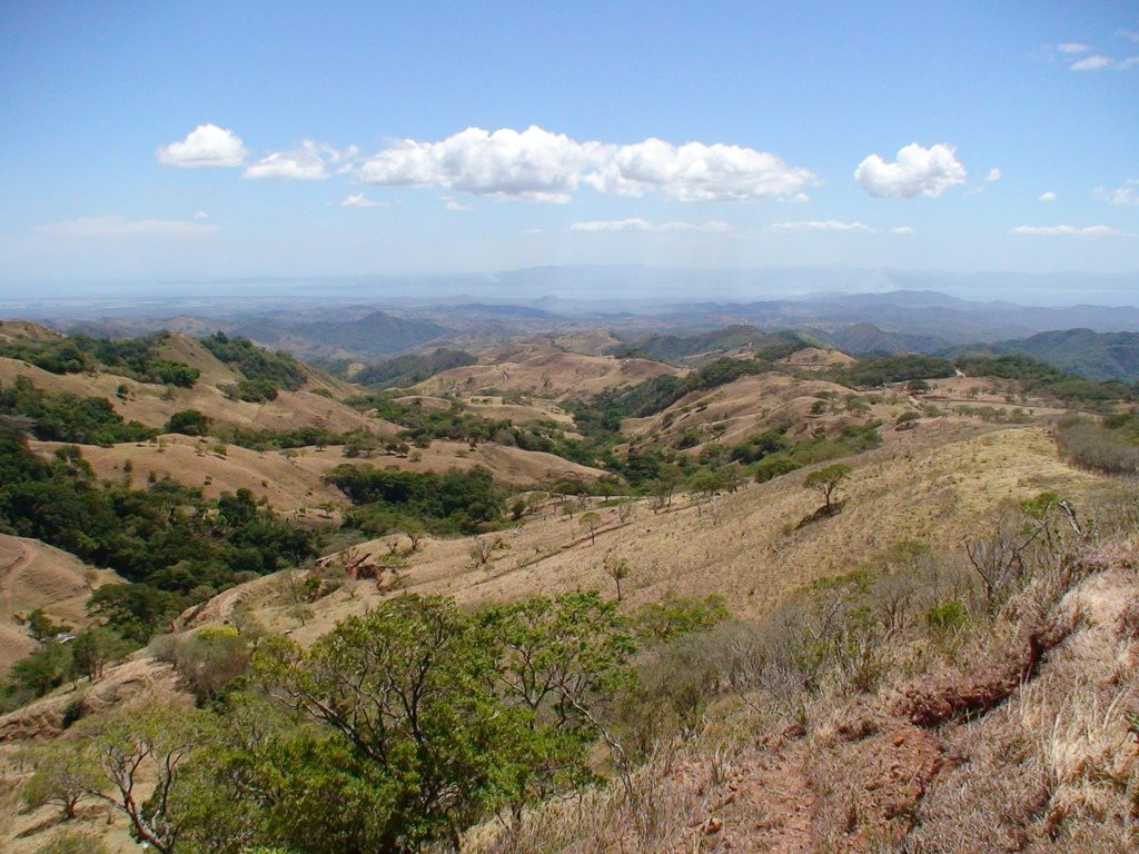 Монтеверде, Пунтаренас провинция, Коста-Рика, фото № 40731 – фотографии Коста-Рики