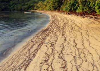 Вити Леву остров, Вити Леву группа островов, Фиджи, фото № 49677 – фотографии Фиджи