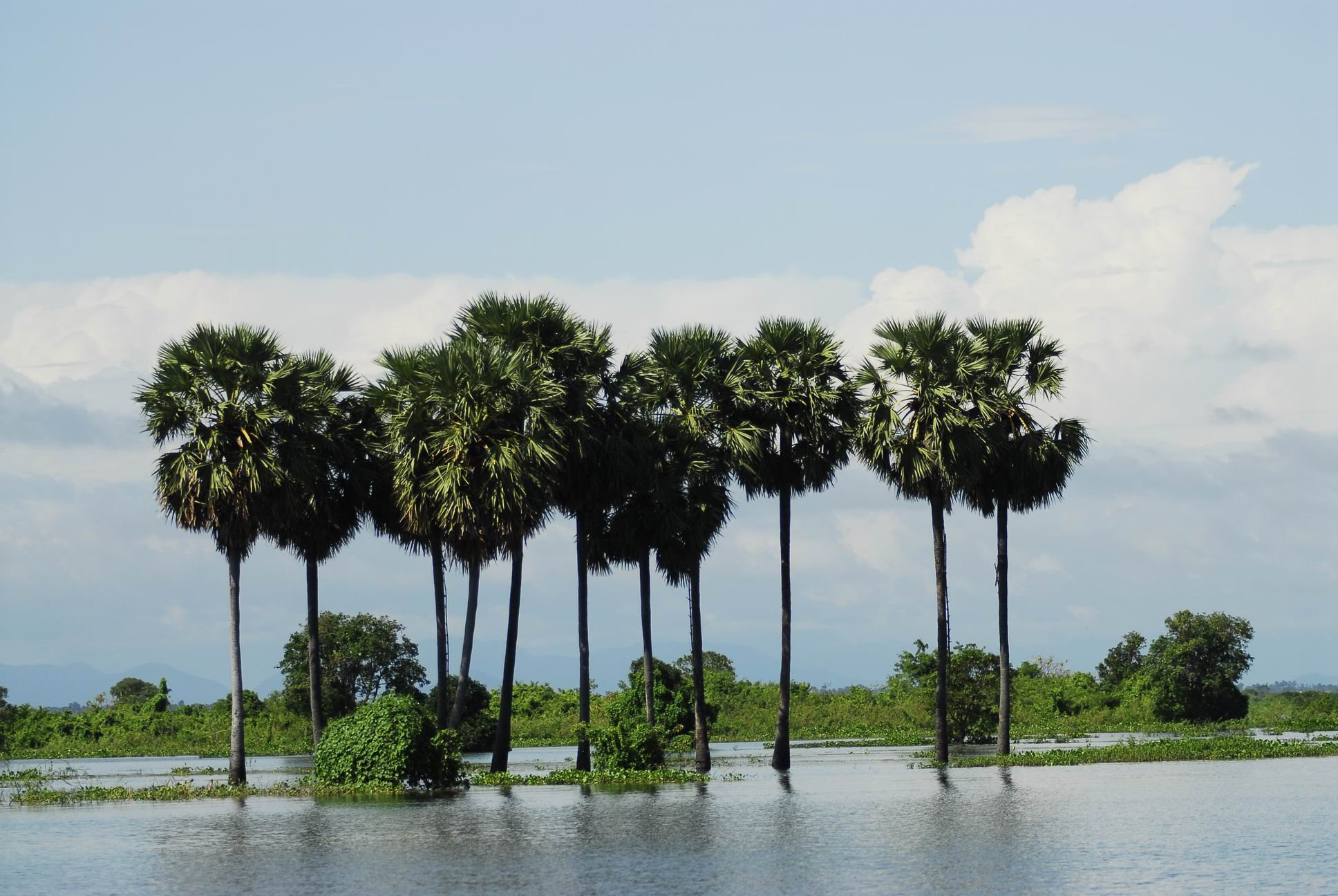 Озеро Топлесап, Камбоджа. Фото 4 – фотографии Камбоджи
