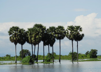 Озеро Топлесап, Камбоджа. Фото 4 – фотографии Камбоджи