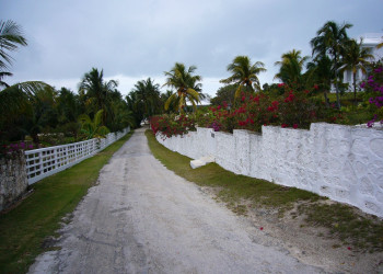 Природа на острове Абако, Багамские острова. Фото 5 – фотографии Багамских островов