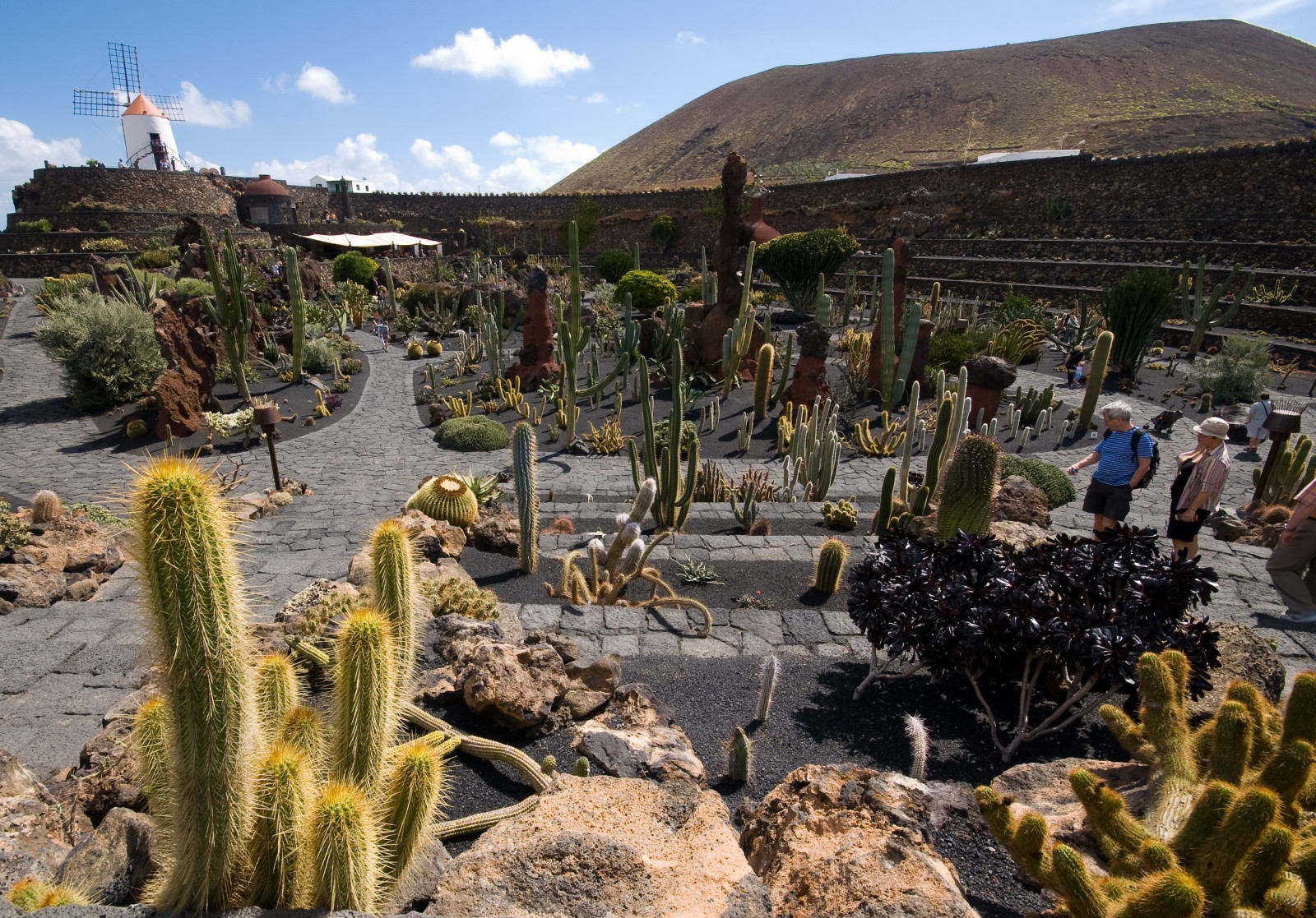 Кактусовый сад (Jardin de Cactus) на острове Лансароте – фотографии Канарских островов