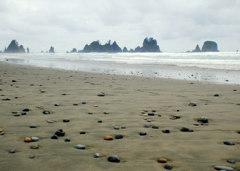 Пляж Ши-Ши и другие красоты национального парка Олимпик. Фото 3 – фотографии США