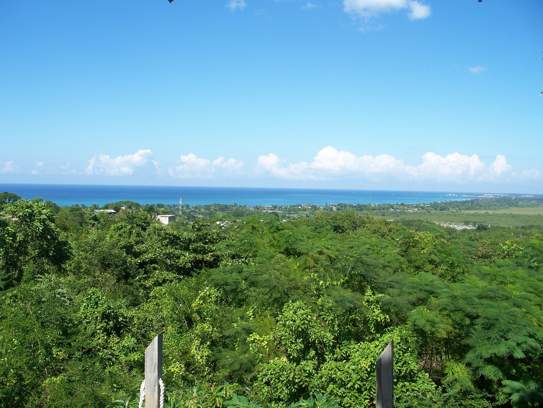 Природа в Негриле, Ямайка – фотографии Ямайки