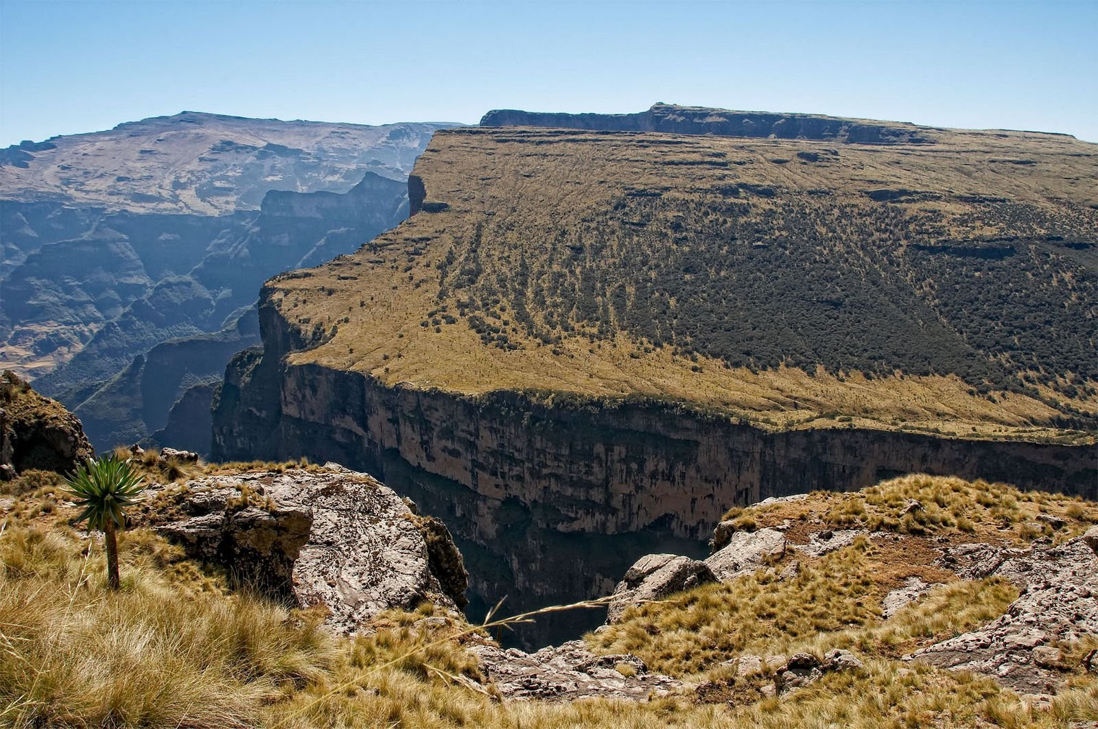 Эфиопское нагорье, Эфиопия. Фото 8 – фотографии Эфиопии