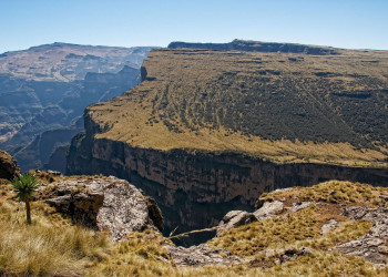 Эфиопское нагорье, Эфиопия. Фото 8 – фотографии Эфиопии